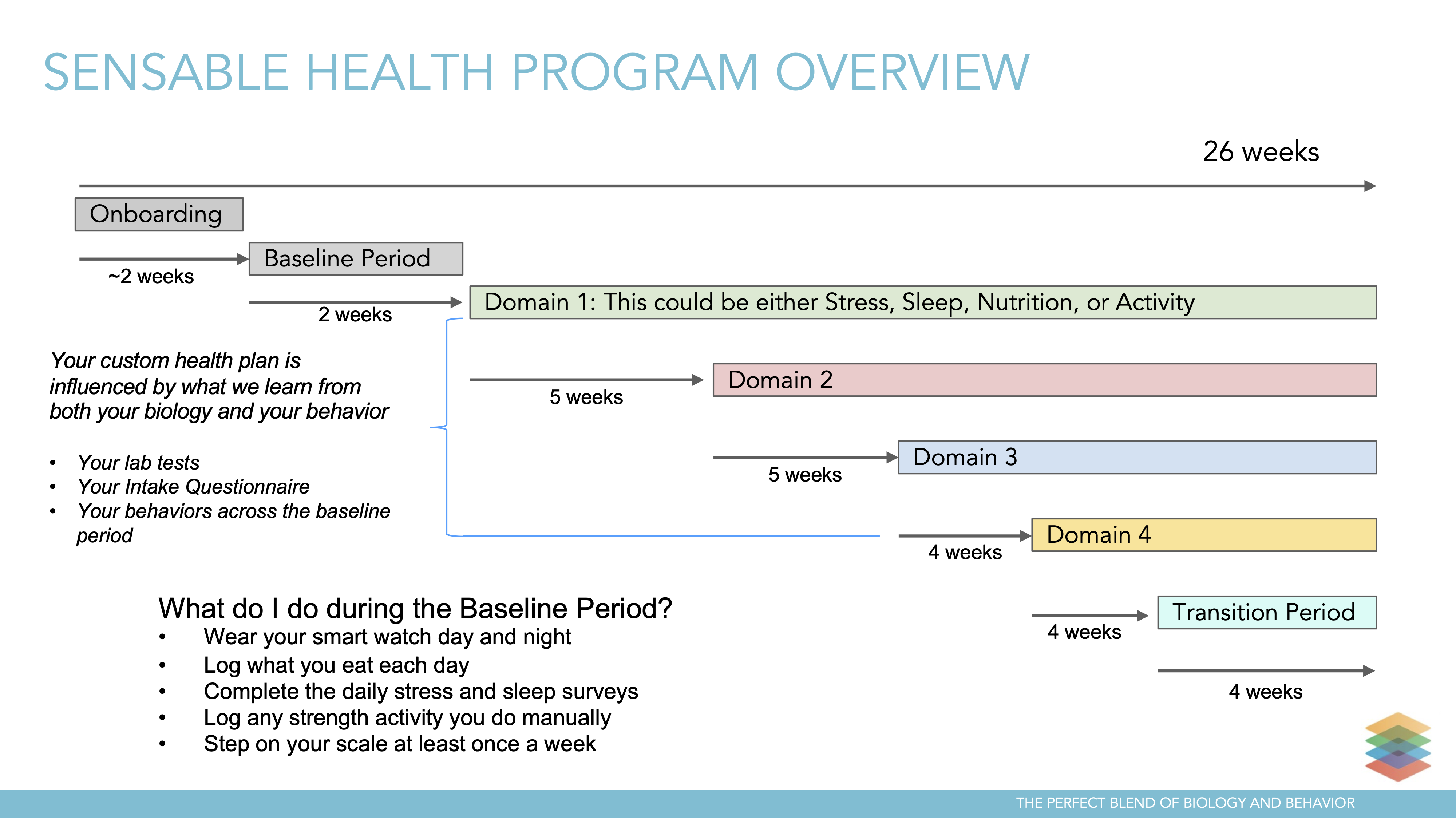 SH_Program_Overview_.png